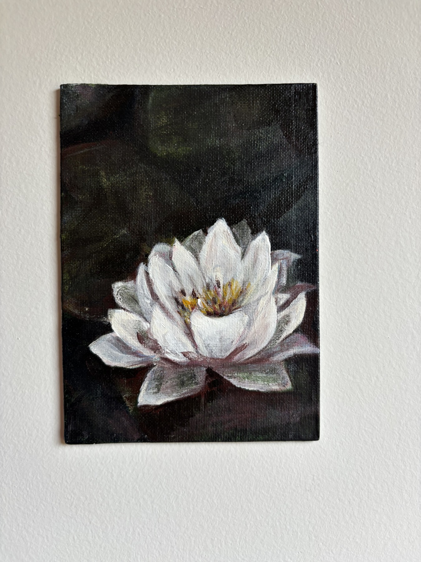 Water lily — original painting by Rabekah