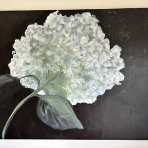 White hydrangea — original painting by Rabekah, 38 × 46 inches